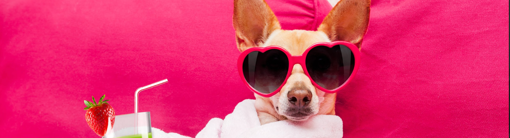 Diamond paint billede af lille hund med solbriller i en lyserød sofa, der drikker en cocktail