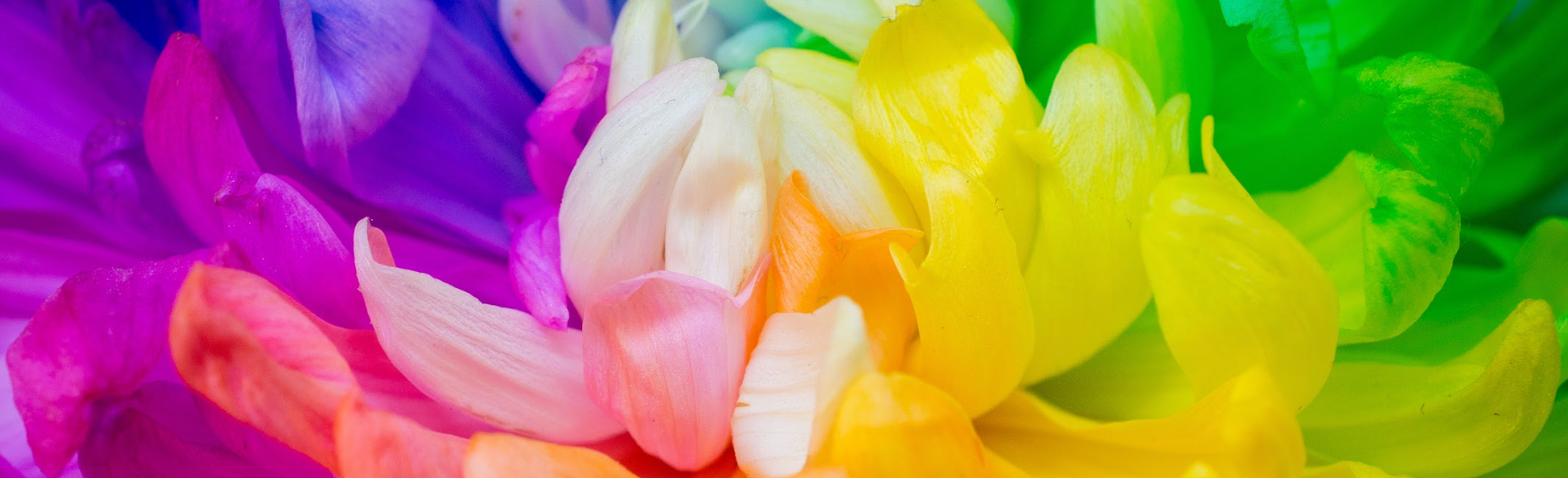 Diamond paint billede af farverig blomst taget tæt på