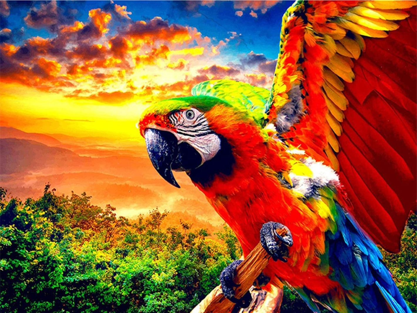 Diamond paint af rød og blå papegøje med spredte vinger. I baggrunden ses junglen og solnedgangen.