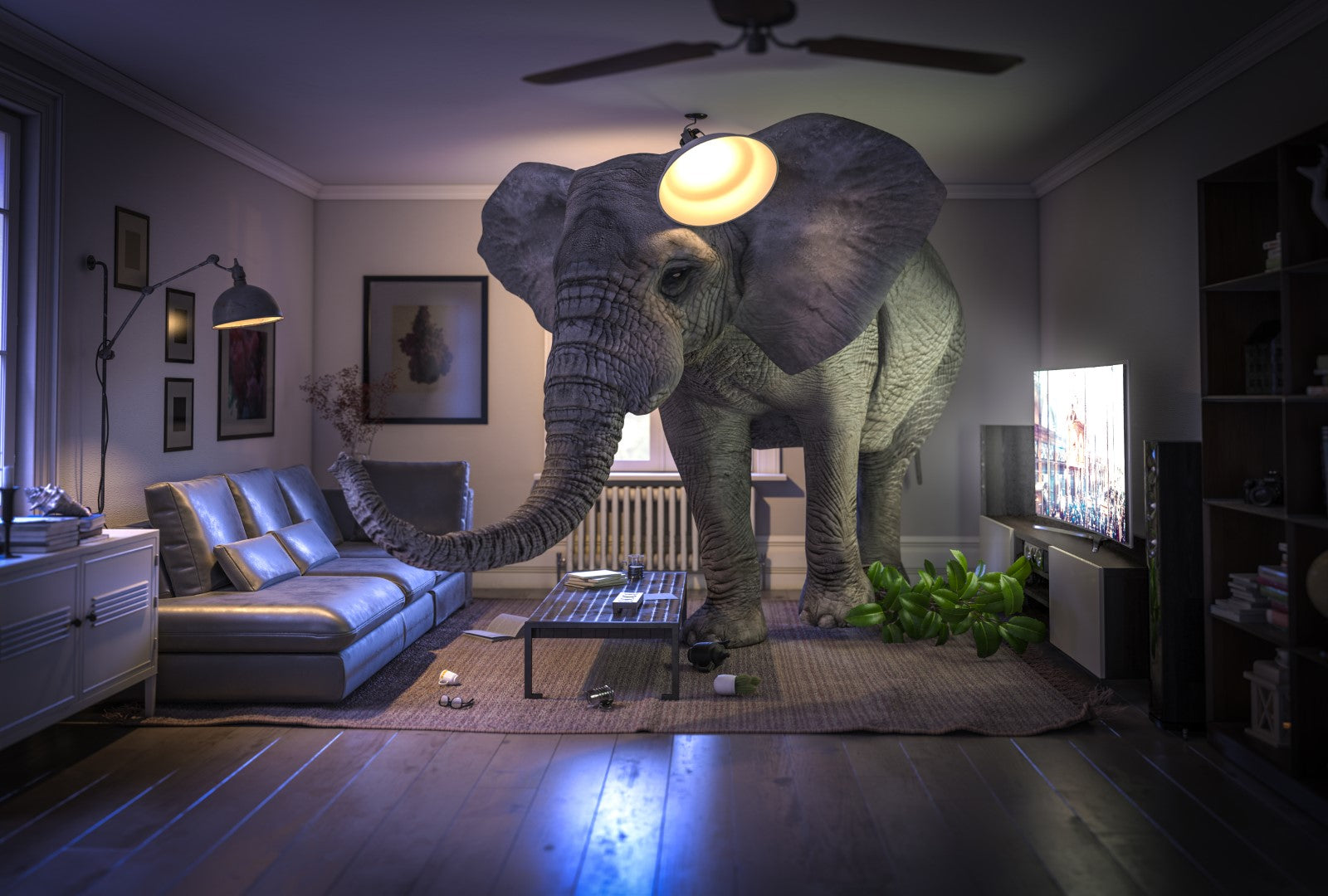 Diamond paint af en elefant i en stue. Symboliserer udtrykket: The elephant in the room.