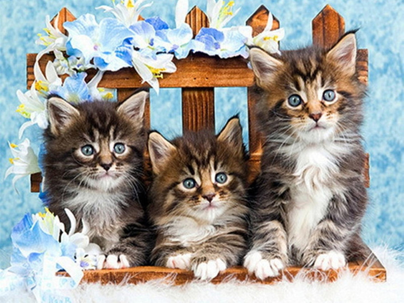 Diamond paint af tre gråstribede kattekillinger siddende på en stol. Blåmeleret baggrund med blomster.