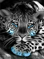 Diamond paint af trist leopard. Sort/hvid billede med strejf af lyseblå.