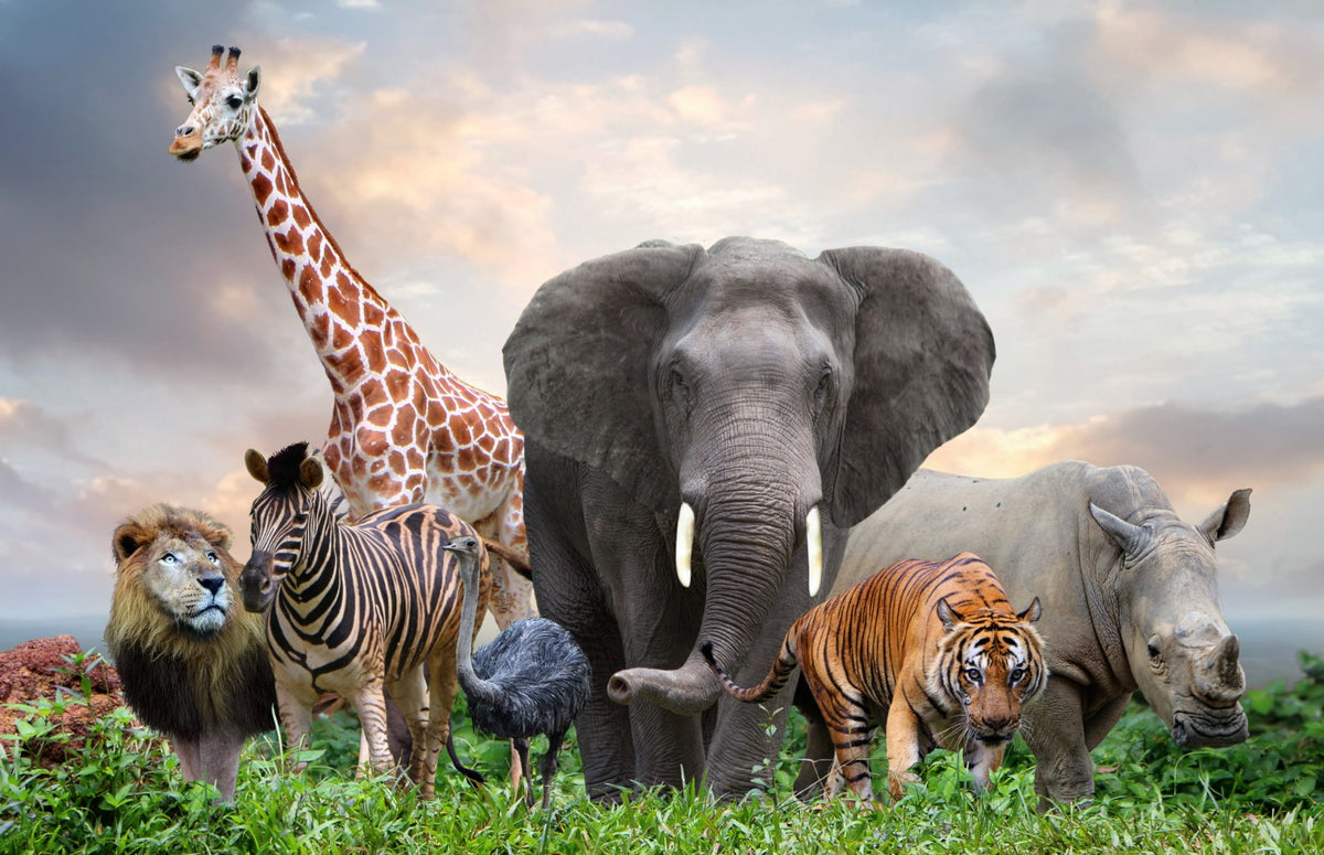 Diamond painting af en dyreflok bestående af: Elefant, tiger, giraf, løve, emu, zebra og næsehorn.