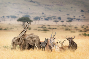 Diamond painting af samlet dyreflok på savannen- Giraf, zebra, elefant mm.