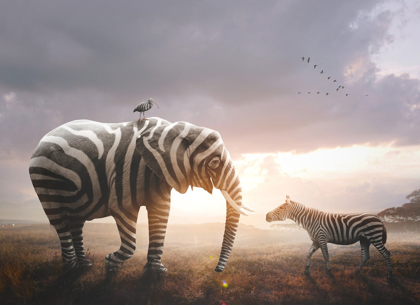 Fantasifuldt diamond painting af en elefant, en fugl og en zebra, der alle er zebrastribede.