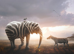 Fantasifuldt diamond painting af en elefant, en fugl og en zebra, der alle er zebrastribede.