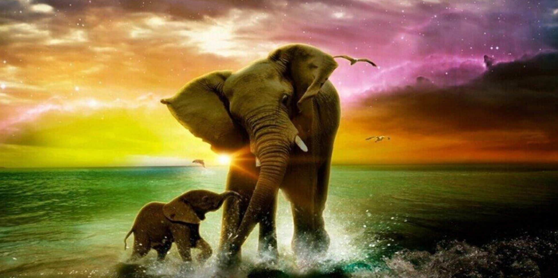 Diamond painting med elefant og unge i vandkanten. Farverig baggrund.