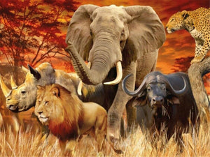 Diamond paint med dyreflok: Elefant, løve, næsehorn, okse og leopard.
Rød baggrund.