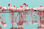 Diamond paint af en flok pink flamingoer med refleksion i det turkise vand.