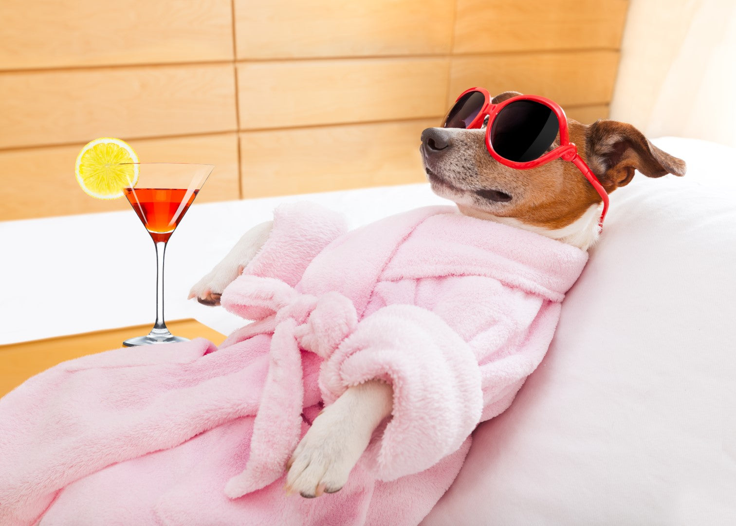 Diamond paint af en lille hund i morgenkåbe og solbriller, der slapper af med en cocktail.