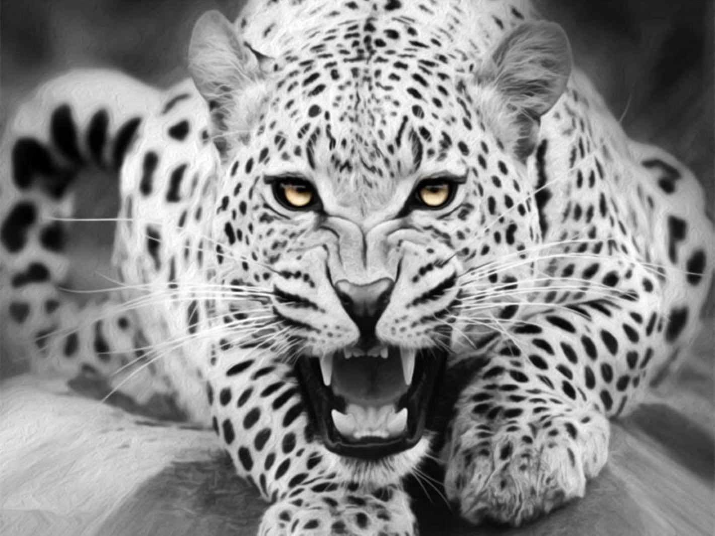 Sort/hvid Diamond paint af en leopard med gule øjne.