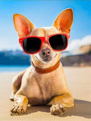 Diamond paint af en lille lysebrun hund med røde solbriller på. Ligger på en strand med blå himmel.