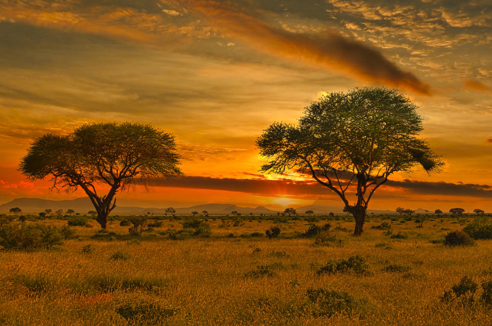 Natur, Landskab, Savanne, Træer, Solopgang, Solnedgang, Himmel, Skyer