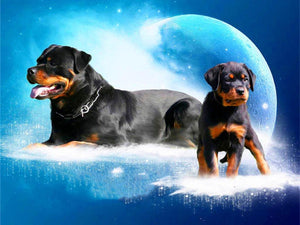 Diamond paint af en rottweiler med en hvalp. Blå baggrund og månen i baggrunden.