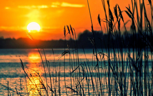 Sjö med dynhammare vid soluppgång/solnedgång