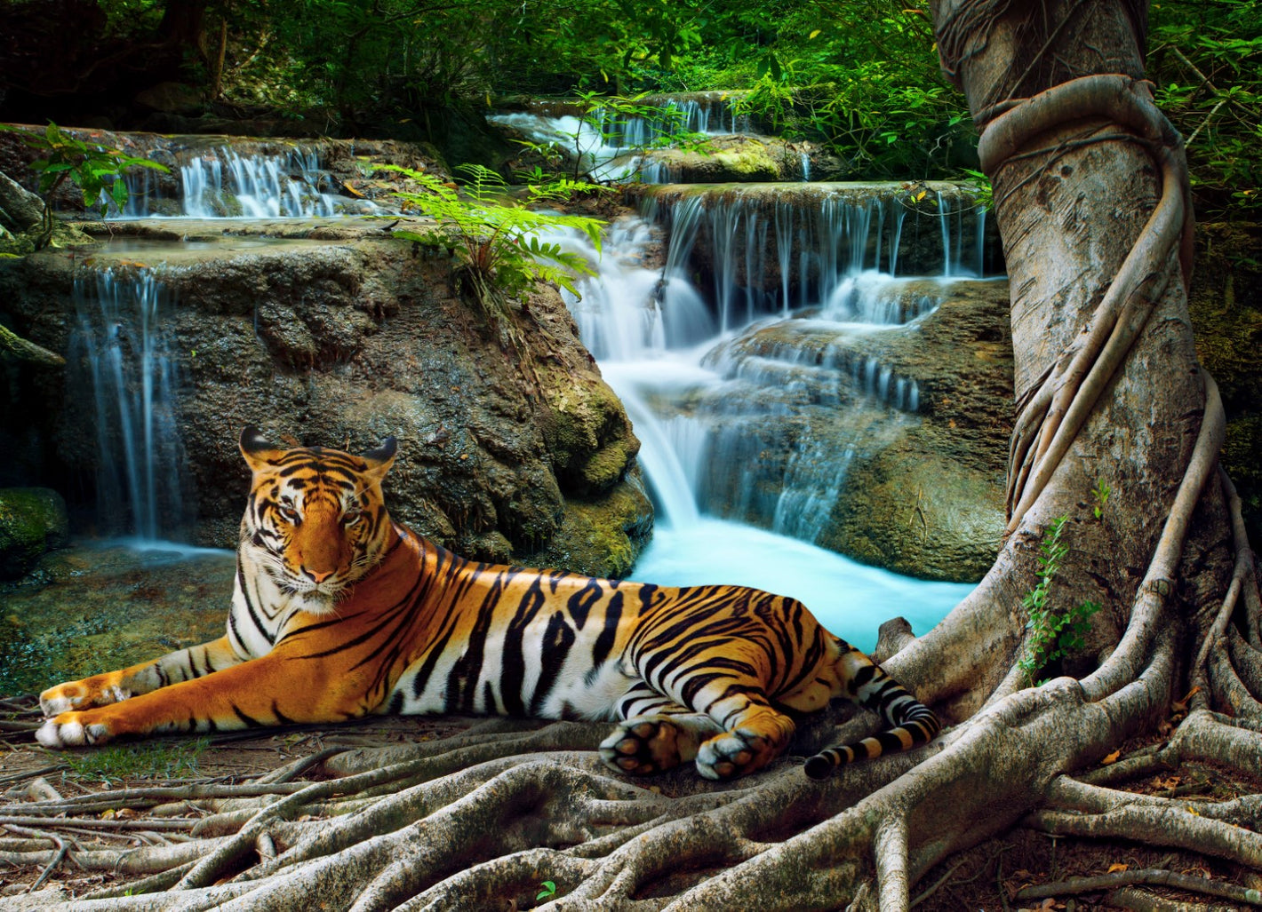 Diamond painting af en hvilende tiger ved vandfald i regnskoven.