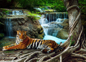 Diamond painting af en hvilende tiger ved vandfald i regnskoven.