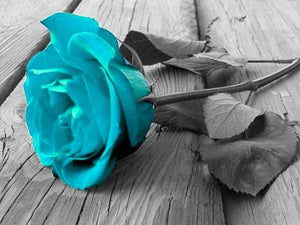 Diamond paint af turkis rose på sort/hvid baggrund.