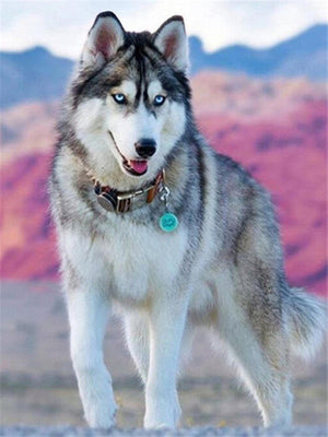 Diamond paint af grå og hvid ulvehund i lyserødt og blåt bjerglandskab.